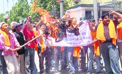 Protesters burn the effigy of the PCA authorities in Mohali