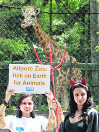 Activists of the People for the Ethical Treatment of Animals attend a protest in front of a giraffe enclosure at the Alipore zoo in Kolkata on Wednesday.