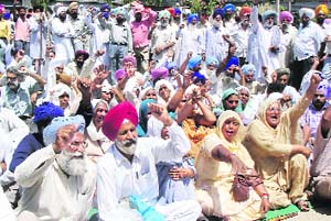 Protesters raise slogans in front of the office of the SSP at Tarn Taran on Wednesday. 