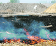 Posing serious threat to the lives and vegetation in the adjoining areas, a farmer near Manchuri, works casually after burning wheat straws in his field.