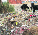 The overflowing garbage in the city is definitely an eyesore.