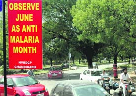 It seems the authorities concerned prefer to ignore the breeding places of mosquitoes even as anti-malaria month has been launched today. A banner mentioning June to be observed as anti-malaria month is displayed at Sectors, 18, 19, 20 and 21 rotary in Chandigarh