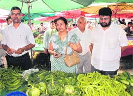Mayor Pardeep Chhabra and Resham Chand Jahku, nominated councillor, carry out an inspection in apni mandi in Sector 33 in Chandigarh on Sunday afternoon.