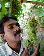City resident Jagmohan Kanojia and his big idea.