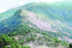 The once breathtakingly beautiful Palampur is losing its lustre.