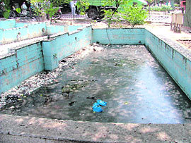 This fountain is a breeding ground for mosquitoes at the MC office in Ludhiana. 