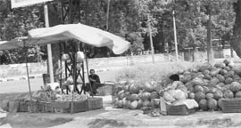 Fruit sellers encroach upon a footpath in Mohali.