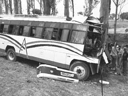 The bus that rammed into a tree in Fatehgarh Sahib on Saturday morning. 