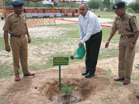 D.K Sharma, IG, Central zone, ITBP plants a tree in New Delhi on Saturday. 