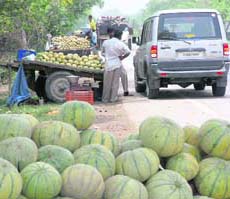 Fruit vendors sell musk melons on NH-1. 