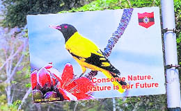 An awareness hoarding in a military establishment shows how the Army has played an important role in safeguarding endangered birds