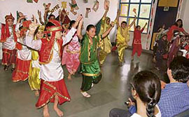Students present a cultural item on the concluding day of the summer workshop at DAV Public School, Sector 39, in Chandigarh, on Sunday.