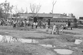 Water logging and shrubs a common sight at the bus stand of Ambala City