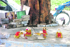 Idols of gods and goddesses that have been placed under a tree in Kitchlu Nagar in Ludhiana on Monday.