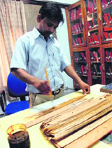 A worker applies a coat of lemon grass oil and cold dust on palm leaf manuscript at DAV College in Chandigarh.