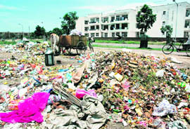 Heaps of garbage speak volumes about sanitation in Sector 49, Chandigarh.