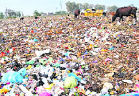 A view of garbage dumped in the open in Amritsar.