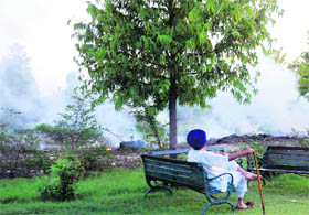  A smoky view like this at the park in Sector 12 is a common scene in Karnal. 