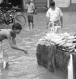 A vendor washes vegetables with rainwater that had logged in the streets in Patiala .