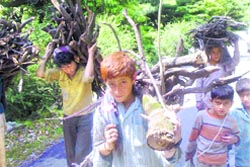 Children carry firewood from the forest area near Bufliaz in Poonch