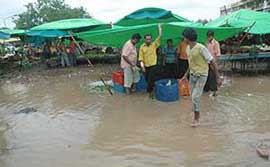 A view of the flooded apni mandi at Swastik Vihar in Panchkula on Sunday.
