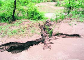 Cracks have appeared in Dhussi bundh, endangering Dhulewal village
