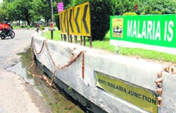 Stagnant water and sludge provide a breeding ground to the mosquitoes right under the anti-malaria banner in Chandigarh