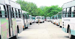 Buses stand still at the bus depot in Industrial Area, Chandigarh