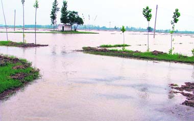 Fields inundated after first monsoon rain at Baniewal village in Ludhiana on Monday.