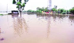 Flooded fields in the Mundi-Nangal area in Rewari district