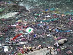 A view of the Sarwari Khud, a tributary of the Beas, passing through the heart of Kullu. Rags and polythene bags are seen floating in water.