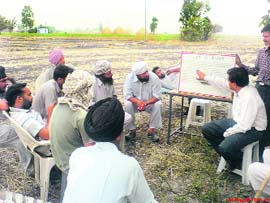 A session on the cultivation of CSR-30 basmati variety is on Photo by the writer
