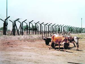 The barbed wire fencing at the international border in the Fazilka sector