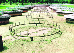 Algae blooms in a fountain at the Rose Garden in Chandigarh.