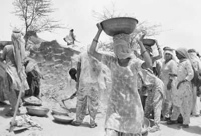 Women toil on at an NREGA project at Sirsa.