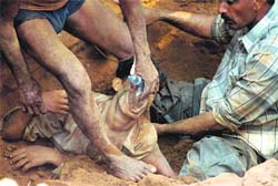 Rescue work under progress, after earth caved in during a digging operation on the Punjab and Haryana High Court premises in Chandigarh