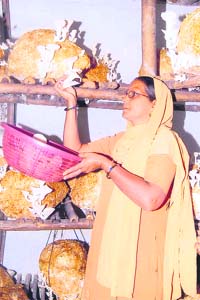 Maya Jaswal, a pioneer in mushroom cultivation, has set an example for others to follow