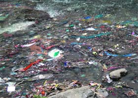Discarded medical waste seen floating in one of the streams