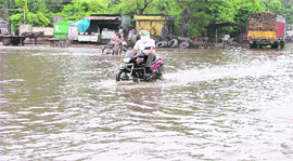 Waterlogged Jaimal Singh road after heavy rainfall in Ludhiana