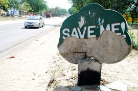 Despite the fact that our planet is getting warmer with every passing day, we are not ready to shoulder the responsibility of ensuring better lives for our future generation by planting more trees or at least not axing the existing ones.