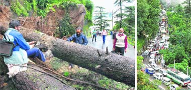 Municipal workers try to remove a huge tree that fell on the national highway near Himachal Holiday Home in Shimla after a landslide on Saturday. The traffic jam (right) that followed lasted for nearly six hours. The old city continued to be choked with vehicles till reports last came in