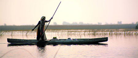 A woman carries water across Nalsarovar, Gujarat.