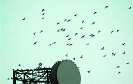 A Feel of Monsoon: Weather on Sunday noon inspires birds to take a flight.