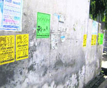 Even the wall of the municipal council office in Mandi Ahmedgarh could not escape defacement during the campaigning for the MC polls. 