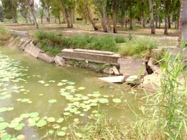 For the past decade, lack of funds has hampered cleaning of this water tank in Abohar. 