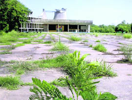 Wild growth on the path leading to the Vidhan Sabha in Chandigarh shows apathy on part of the administration.