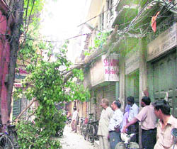 The tree branch that fell on the Pindi Street on Thursday morning.