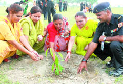 More such efforts are needed to add to the green cover in the city.