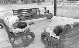 Benches without handles at Sector 28 parks in Chandigarh
