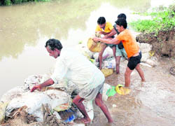 Villagers try to plug a breach in the Chotang distributary in Butana village, near Nilokheri, on Friday.